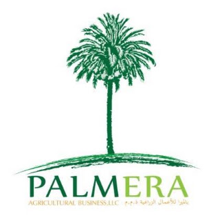 Palmera